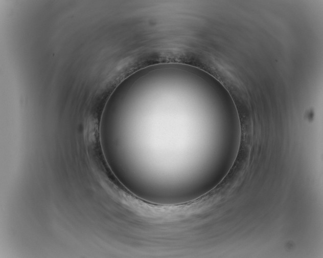 X0000091990038200709061427