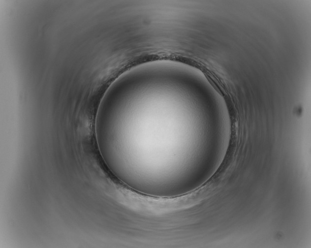 X0000091990039200709061427