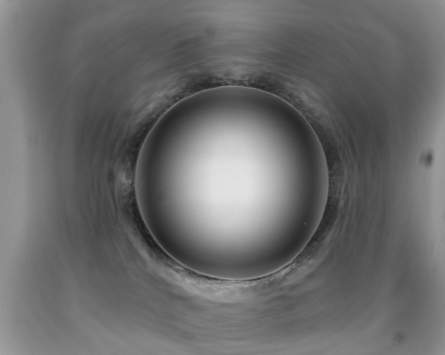 X0000091990040200709061427