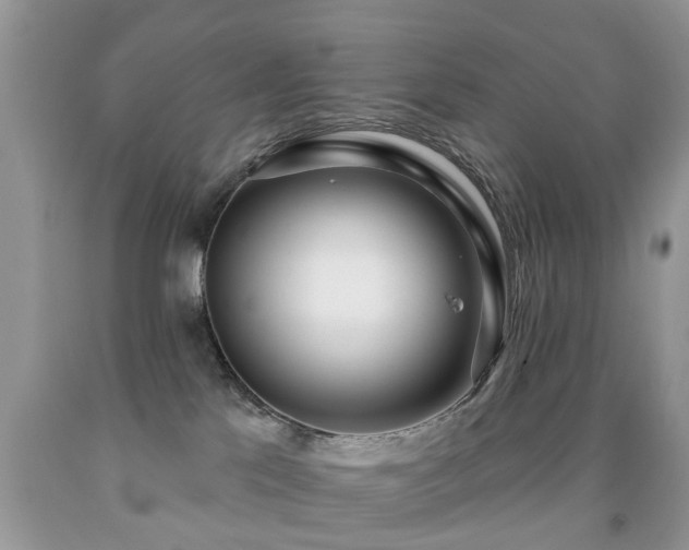 X0000091990041200709061427
