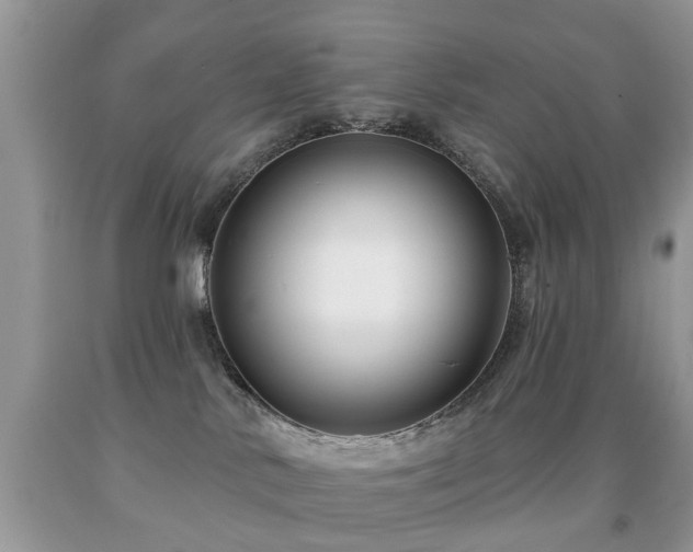 X0000091990042200709061427