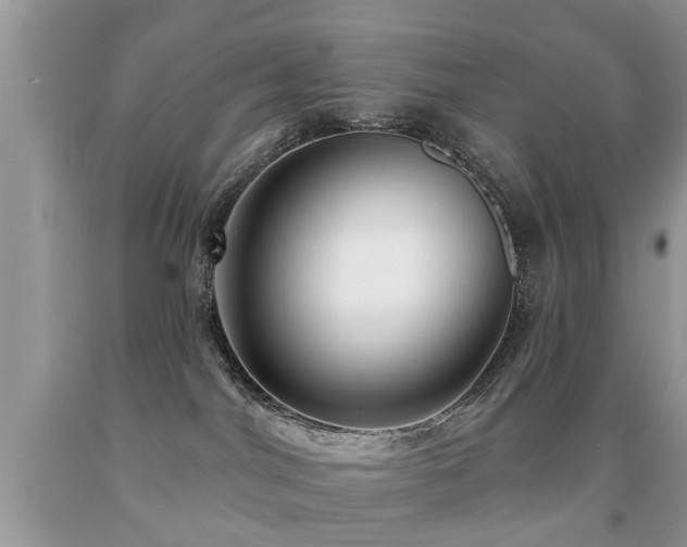 X0000091990044200709061427