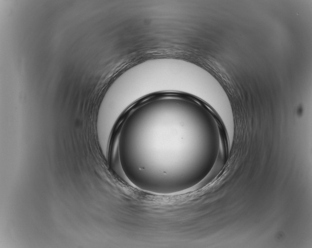 X0000091990045200709061427