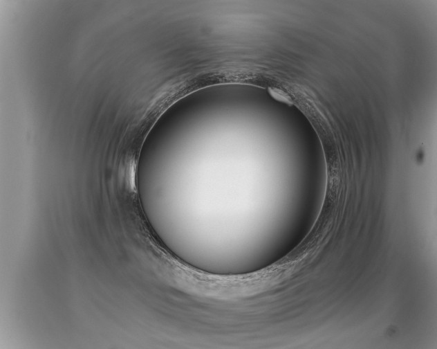 X0000091990046200709061427