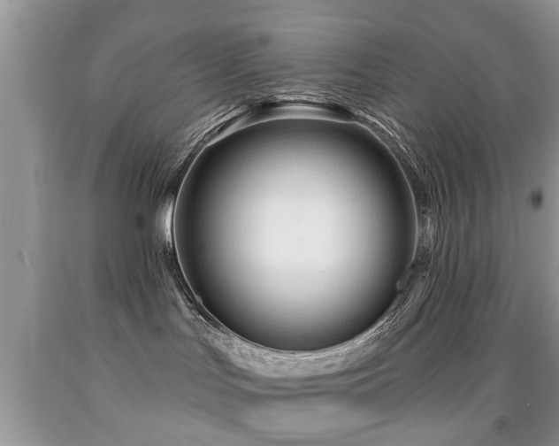 X0000091990047200709061427