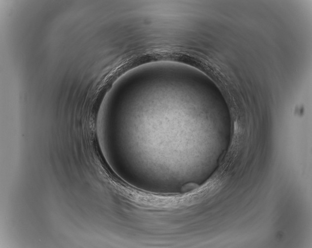 X0000091990048200709061427