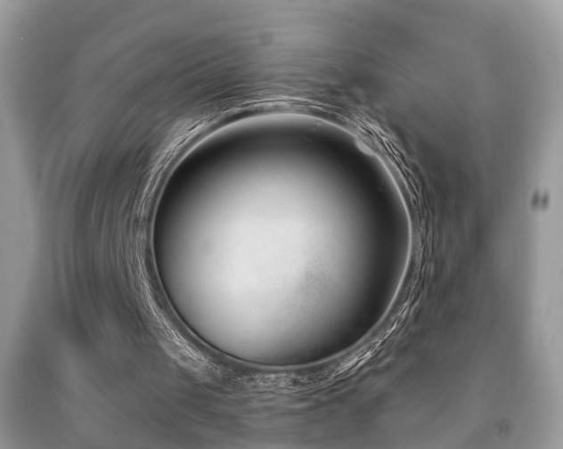 X0000091990049200709061426