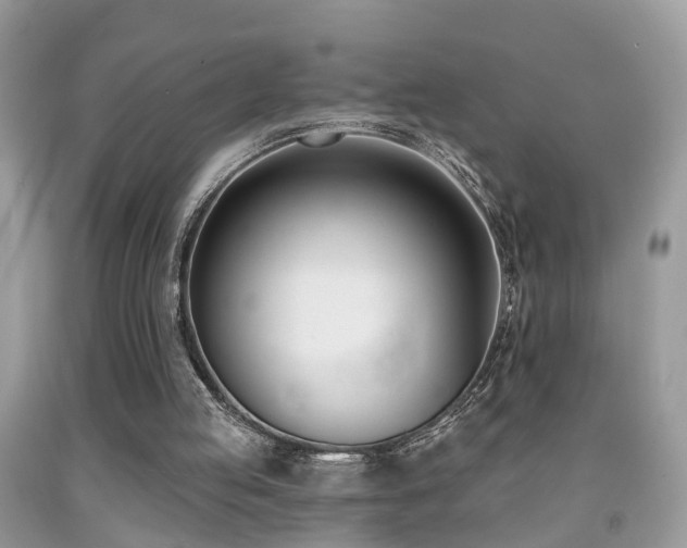 X0000091990053200709061426