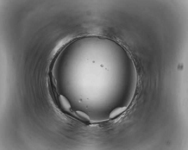 X0000091990054200709061426