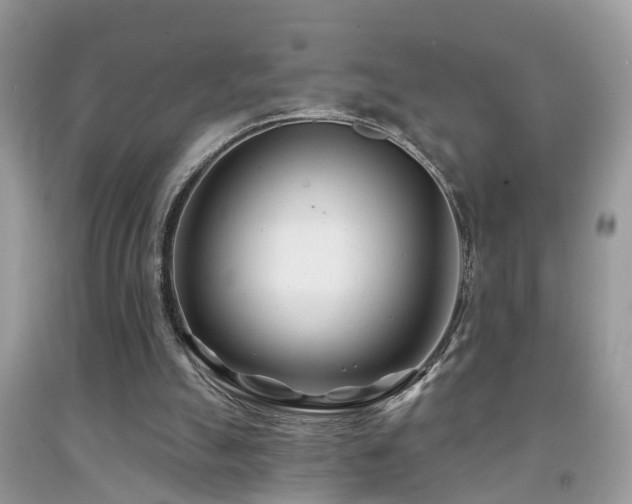 X0000091990055200709061426