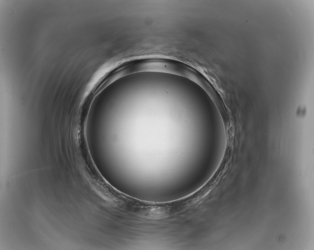 X0000091990056200709061426