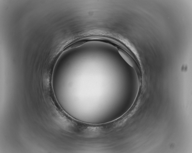 X0000091990057200709061426