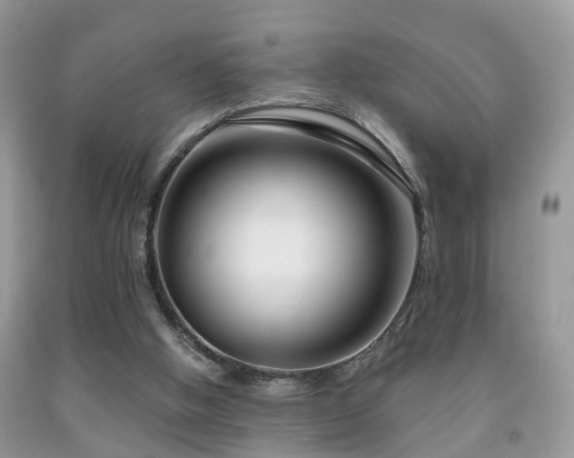 X0000091990058200709061426