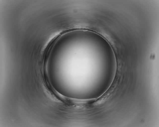 X0000091990060200709061426