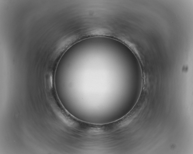 X0000091990061200709061426