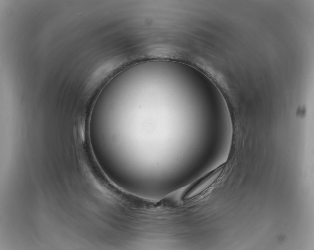 X0000091990062200709061426