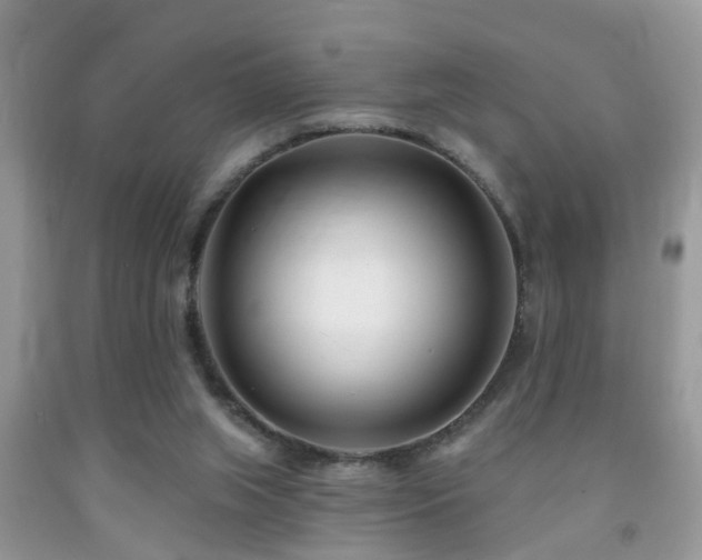 X0000091990063200709061426