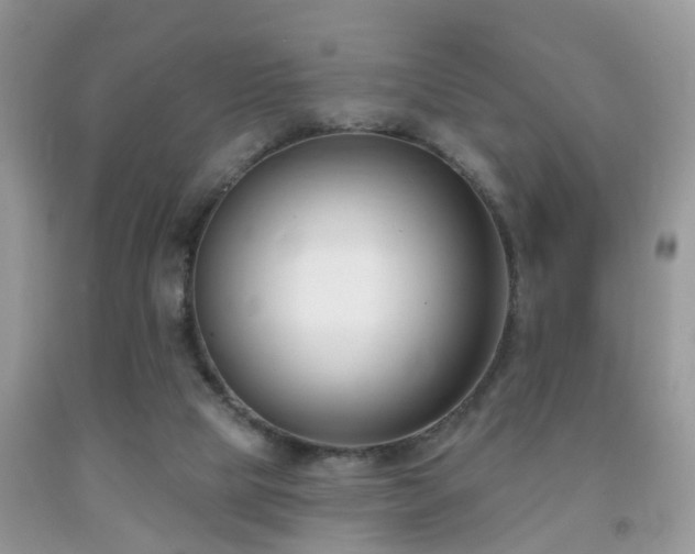 X0000091990065200709061426