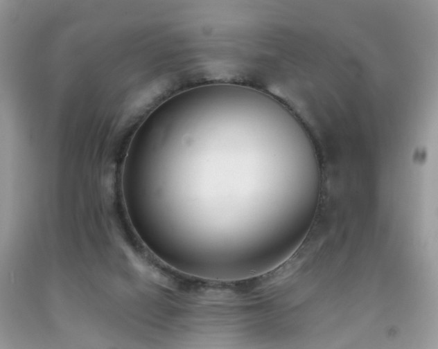 X0000091990066200709061427