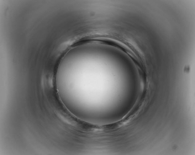X0000091990068200709061427