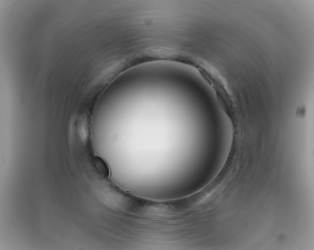X0000091990069200709061427