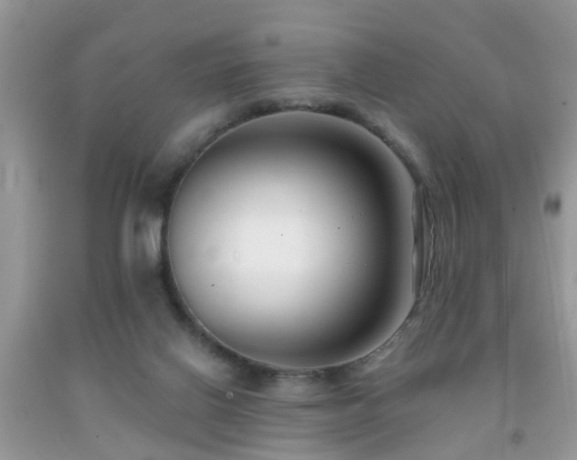 X0000091990070200709061427