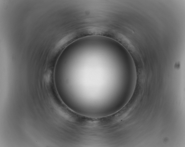 X0000091990071200709061427