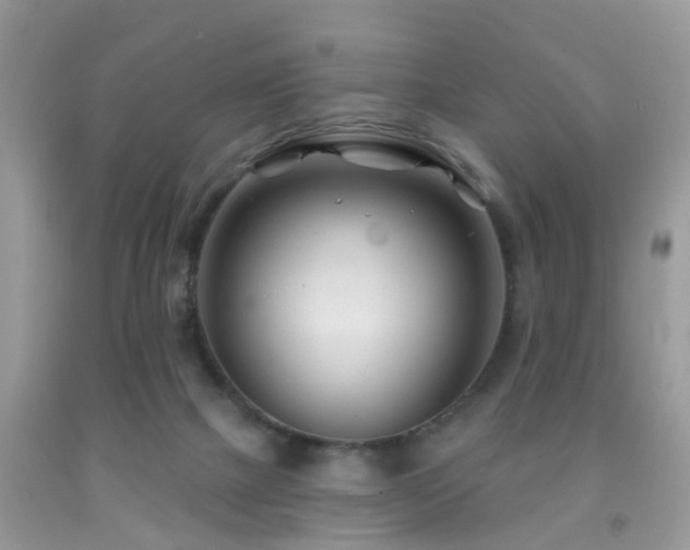 X0000091990073200709061427