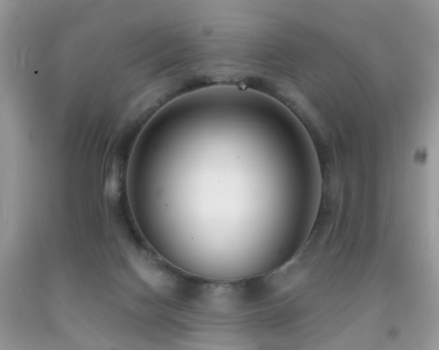 X0000091990074200709061427