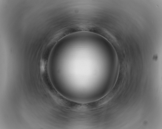 X0000091990075200709061427