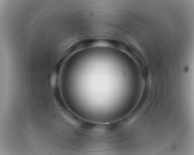 X0000091990076200709061427
