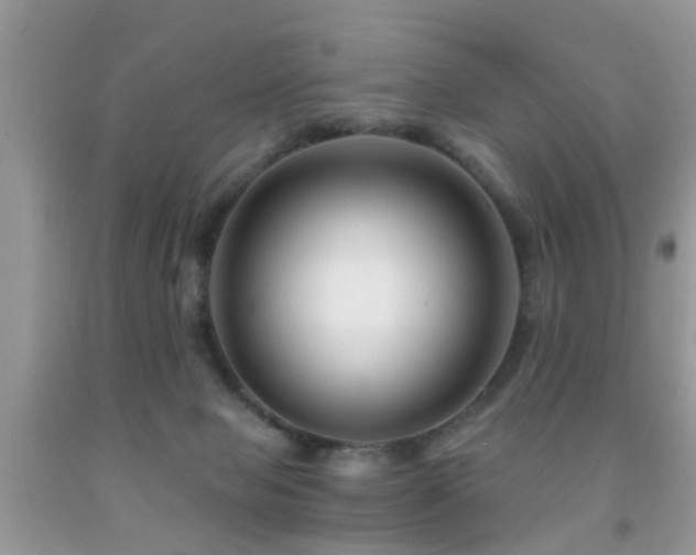 X0000091990077200709061427