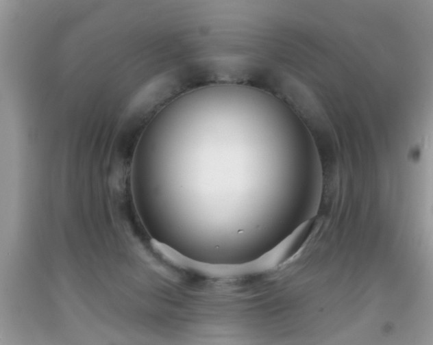 X0000091990078200709061427