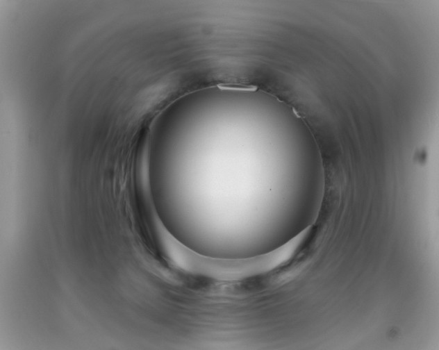 X0000091990080200709061427
