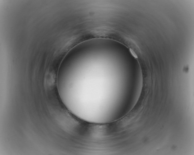 X0000091990081200709061427