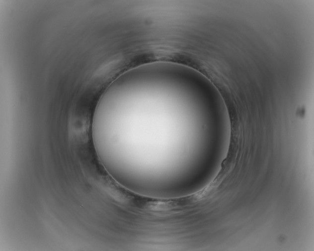 X0000091990082200709061427