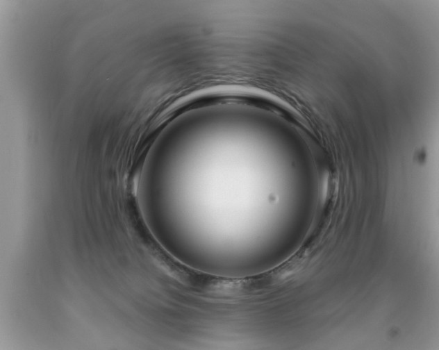 X0000091990084200709061427