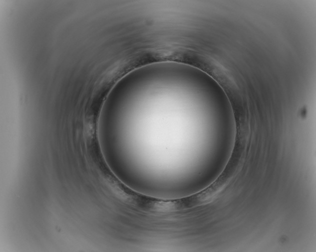 X0000091990085200709061427