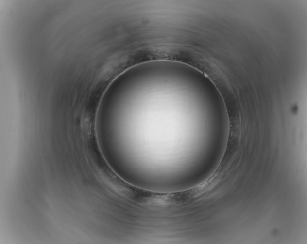 X0000091990086200709061427