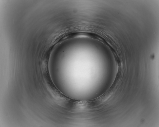 X0000091990088200709061427
