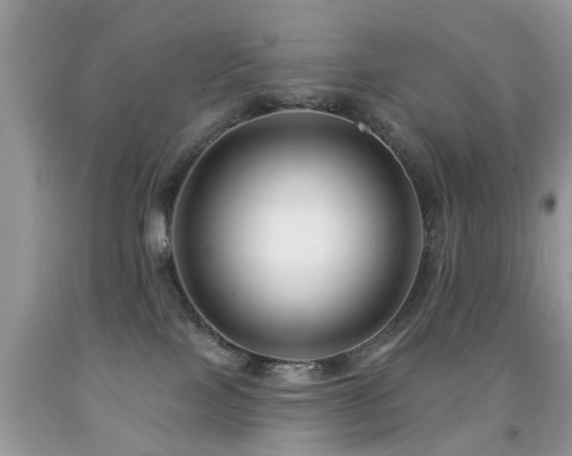 X0000091990089200709061427