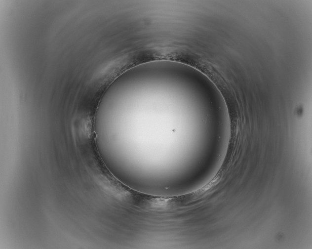 X0000091990090200709061427