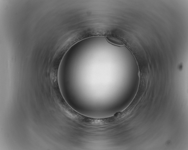 X0000091990091200709061427