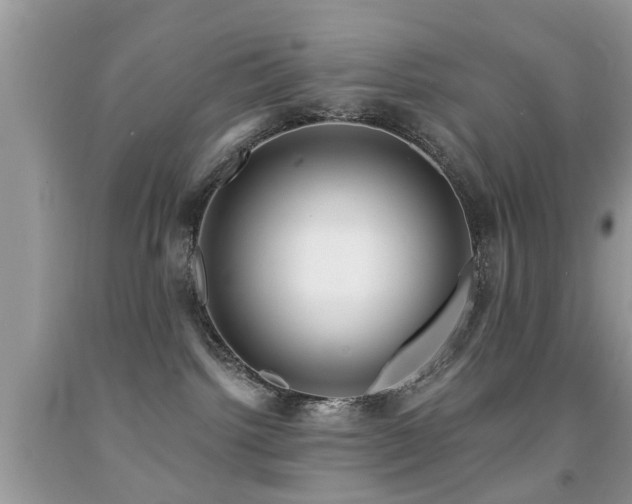 X0000091990092200709061427