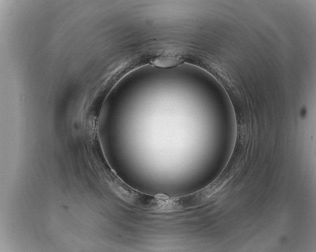 X0000091990093200709061427