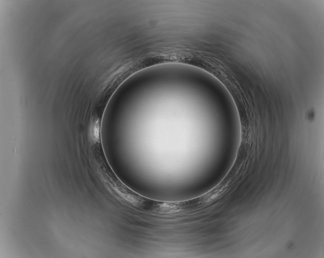 X0000091990095200709061427