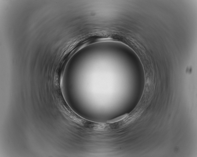 X0000091990096200709061427
