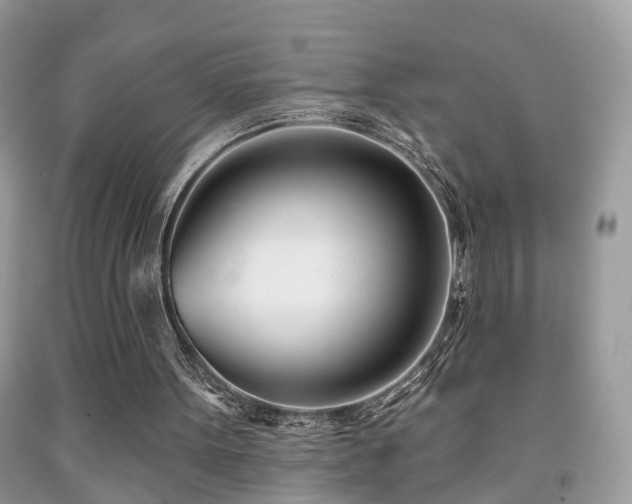X0000091990099200709061426