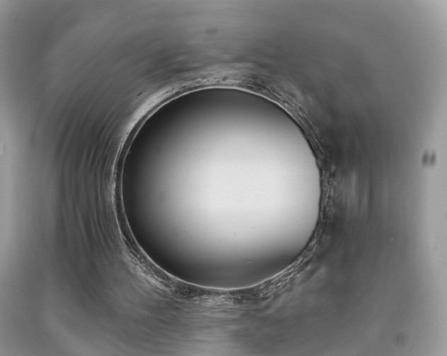 X0000091990100200709061426