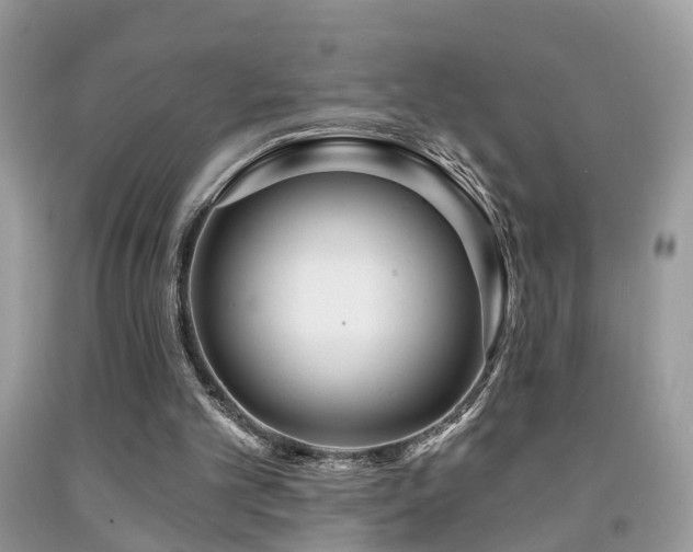 X0000091990101200709061426
